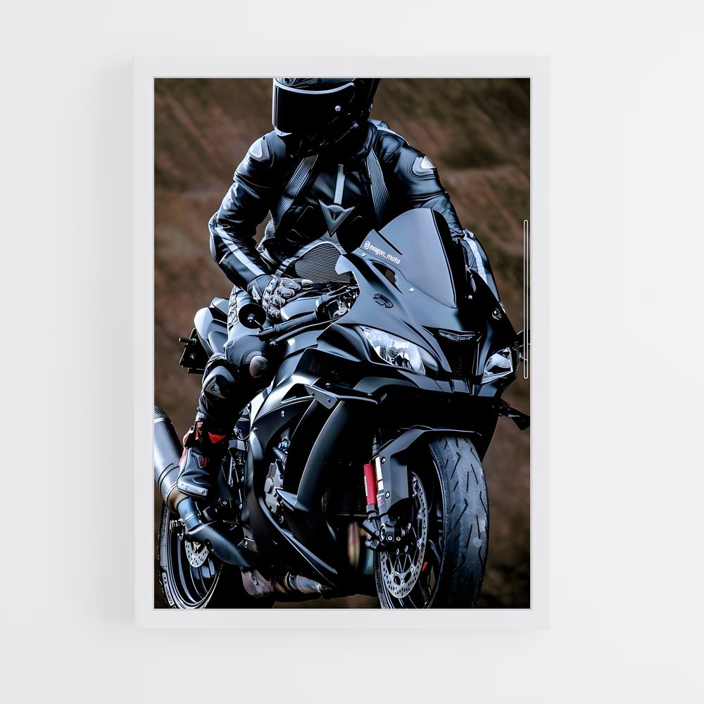 Poster Ninja Mystique H2 (vue 3)
